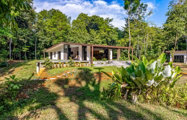 PROPERTY WITH 4 BEDROOM HOME, IN OJOCHAL – 12 ACRES