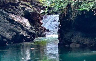 PROPERTY WITH 4 BEDROOM HOME, IN OJOCHAL – 12 ACRES