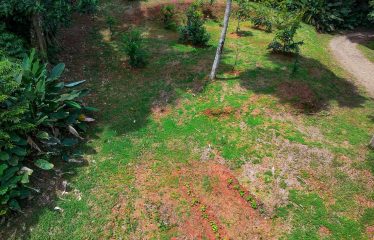 PROPERTY WITH 4 BEDROOM HOME, IN OJOCHAL – 12 ACRES