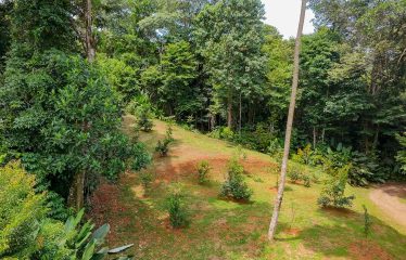 PROPERTY WITH 4 BEDROOM HOME, IN OJOCHAL – 12 ACRES