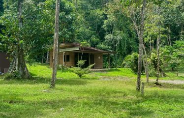 PROPERTY WITH 4 BEDROOM HOME, IN OJOCHAL – 12 ACRES