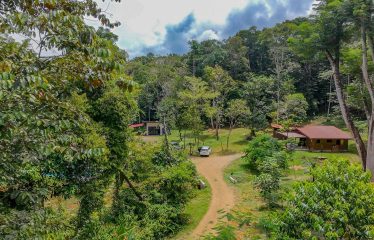 PROPERTY WITH 4 BEDROOM HOME, IN OJOCHAL – 12 ACRES