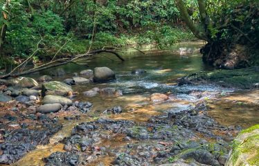 PROPERTY WITH 4 BEDROOM HOME, IN OJOCHAL – 12 ACRES