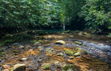 PROPERTY WITH 4 BEDROOM HOME, IN OJOCHAL – 12 ACRES