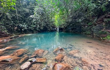 PROPERTY WITH 4 BEDROOM HOME, IN OJOCHAL – 12 ACRES