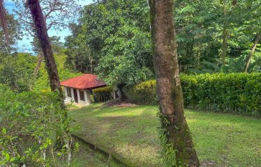 PROPERTY WITH SIX VILLAS IN TRES RIOS, WITH MOUNTAIN VIEWS – 0.24 ACRES