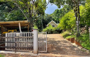 LUXURY PROPERTY WITH TWO CABINS, IN OJOCHAL – 3.12 ACRES
