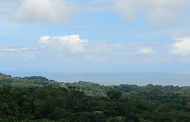 PROPERTY WITH BEAUTIFUL VIEWS OF OCEAN AND MOUNTAINS, IN OJOCHAL – 1.17 ACRES