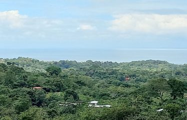 PROPERTY WITH BEAUTIFUL VIEWS OF OCEAN AND MOUNTAINS, IN OJOCHAL – 1.17 ACRES