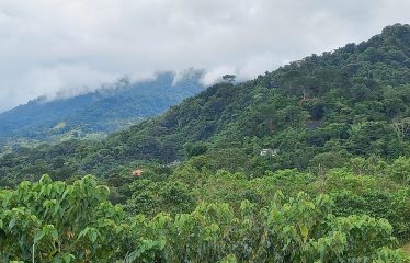 PROPERTY WITH BEAUTIFUL VIEWS OF OCEAN AND MOUNTAINS, IN OJOCHAL – 1.17 ACRES