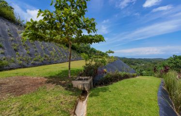 PROPERTY WITH BEAUTIFUL VIEWS OF OCEAN AND MOUNTAINS, IN OJOCHAL – 1.17 ACRES