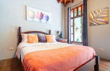 JUNGLE PROPERTY WITH FIVE BEDROOM HOME, IN OJOCHAL – 1.8 ACRES