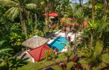 JUNGLE PROPERTY WITH FIVE BEDROOM HOME, IN OJOCHAL – 1.8 ACRES