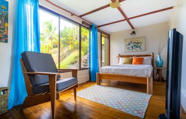 JUNGLE PROPERTY WITH FIVE BEDROOM HOME, IN OJOCHAL – 1.8 ACRES