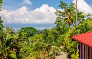 JUNGLE PROPERTY WITH FIVE BEDROOM HOME, IN OJOCHAL – 1.8 ACRES