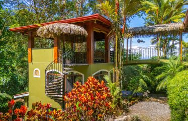 JUNGLE PROPERTY WITH FIVE BEDROOM HOME, IN OJOCHAL – 1.8 ACRES