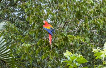 PROPERTY NEAR TO THE BEACH, IN QUEPOS – 1 ACRE