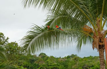 PROPERTY NEAR TO THE BEACH, IN QUEPOS – 1 ACRE