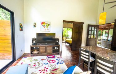 PROPERTY WITH 2 BEDROOM HOUSE AND A GUEST HOUSE, IN PLATANILLO – 3.35 ACRES