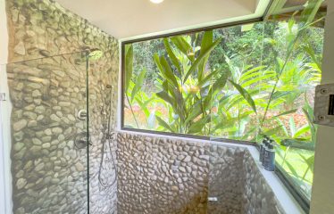 PROPERTY WITH 2 BEDROOM HOUSE AND A GUEST HOUSE, IN PLATANILLO – 3.35 ACRES