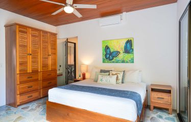 PROPERTY WITH 2 BEDROOM HOUSE AND A GUEST HOUSE, IN PLATANILLO – 3.35 ACRES