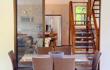 PROPERTY WITH 2 BEDROOM HOUSE AND A GUEST HOUSE, IN PLATANILLO – 3.35 ACRES