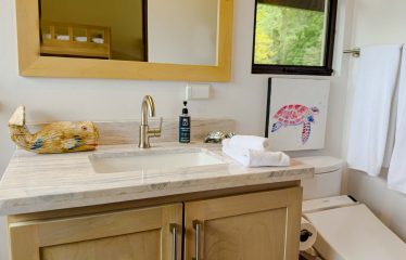 PROPERTY WITH 2 BEDROOM HOUSE AND A GUEST HOUSE, IN PLATANILLO – 3.35 ACRES