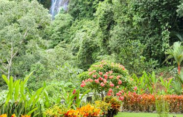 PROPERTY WITH 2 BEDROOM HOUSE AND A GUEST HOUSE, IN PLATANILLO – 3.35 ACRES