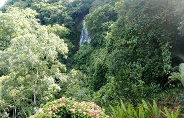 PROPERTY WITH 2 BEDROOM HOUSE AND A GUEST HOUSE, IN PLATANILLO – 3.35 ACRES