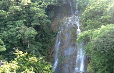 PROPERTY WITH 2 BEDROOM HOUSE AND A GUEST HOUSE, IN PLATANILLO – 3.35 ACRES