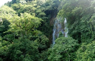 PROPERTY WITH 2 BEDROOM HOUSE AND A GUEST HOUSE, IN PLATANILLO – 3.35 ACRES