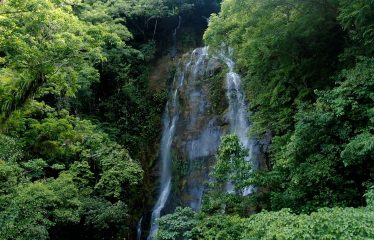 PROPERTY WITH 2 BEDROOM HOUSE AND A GUEST HOUSE, IN PLATANILLO – 3.35 ACRES