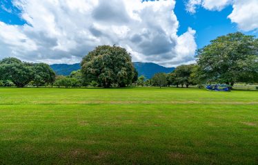 GATED COMMUNITY NEAR TO AIRPORT, IN PALMAR SUR -13.4 ACRES