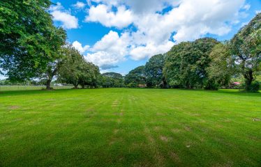 GATED COMMUNITY NEAR TO AIRPORT, IN PALMAR SUR -13.4 ACRES