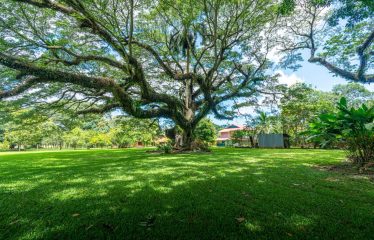 GATED COMMUNITY NEAR TO AIRPORT, IN PALMAR SUR -13.4 ACRES