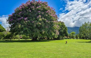 GATED COMMUNITY NEAR TO AIRPORT, IN PALMAR SUR -13.4 ACRES