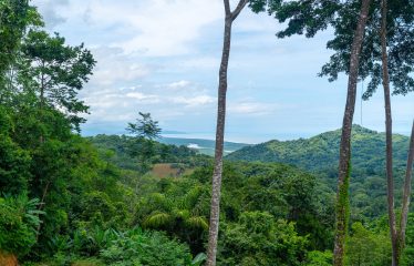 LUXURY PROPERTY WITH PANORAMIC OCEAN AND MOUNTAINS VIEWS CASA ARMONIA ELEMENTOS, IN PUNTA MALA – 5.21
