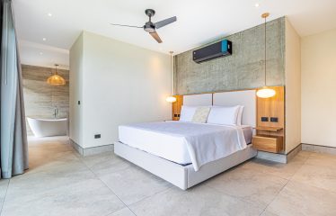 New contemporary tropical villa boasts with a movie theater and views of the iconic whale’s tail