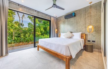 New contemporary tropical villa boasts with a movie theater and views of the iconic whale’s tail