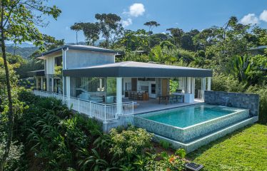 New contemporary tropical villa boasts with a movie theater and views of the iconic whale’s tail