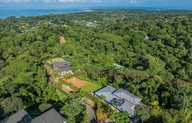 New contemporary tropical villa boasts with a movie theater and views of the iconic whale’s tail