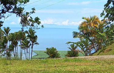 BUILDING PROPERTY WITH PANORAMICS VALLEY AND MOUNTAINS VIEWS, IN ESCALERAS – 8 ACRES