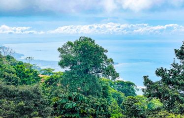 BUILDING PROPERTY WITH PANORAMICS VALLEY AND MOUNTAINS VIEWS, IN ESCALERAS – 8 ACRES