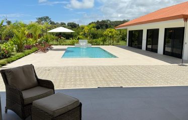 LANDSCAPE PROPERTY WITH POOL AND GUEST HOUSE CASA BLANCA, IN MATAPALO – 1.23 ACRES