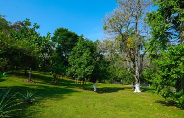 BEAUTIFUL HOME WITH POOL AND ROOM TO EXPAND IN OJOCHAL