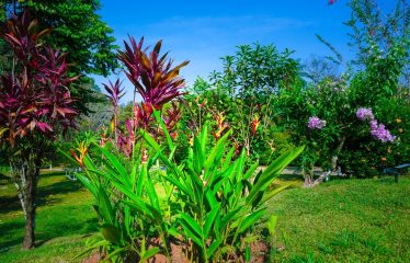 BEAUTIFUL HOME WITH POOL AND ROOM TO EXPAND IN OJOCHAL