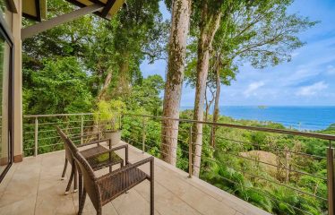 LUXURY PROPERTY WITH PANORAMIC OCEAN VIEWS, IN MANUEL ANTONIO – 1.53 ACRES