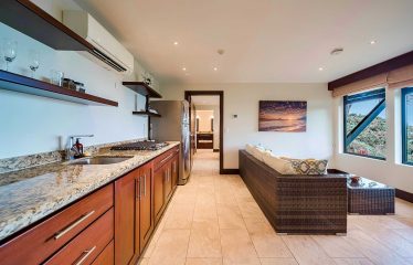 LUXURY PROPERTY WITH PANORAMIC OCEAN VIEWS, IN MANUEL ANTONIO – 1.53 ACRES