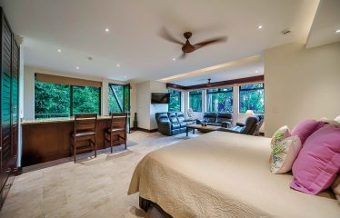 LUXURY PROPERTY WITH PANORAMIC OCEAN VIEWS, IN MANUEL ANTONIO – 1.53 ACRES