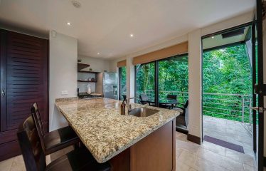 LUXURY PROPERTY WITH PANORAMIC OCEAN VIEWS, IN MANUEL ANTONIO – 1.53 ACRES